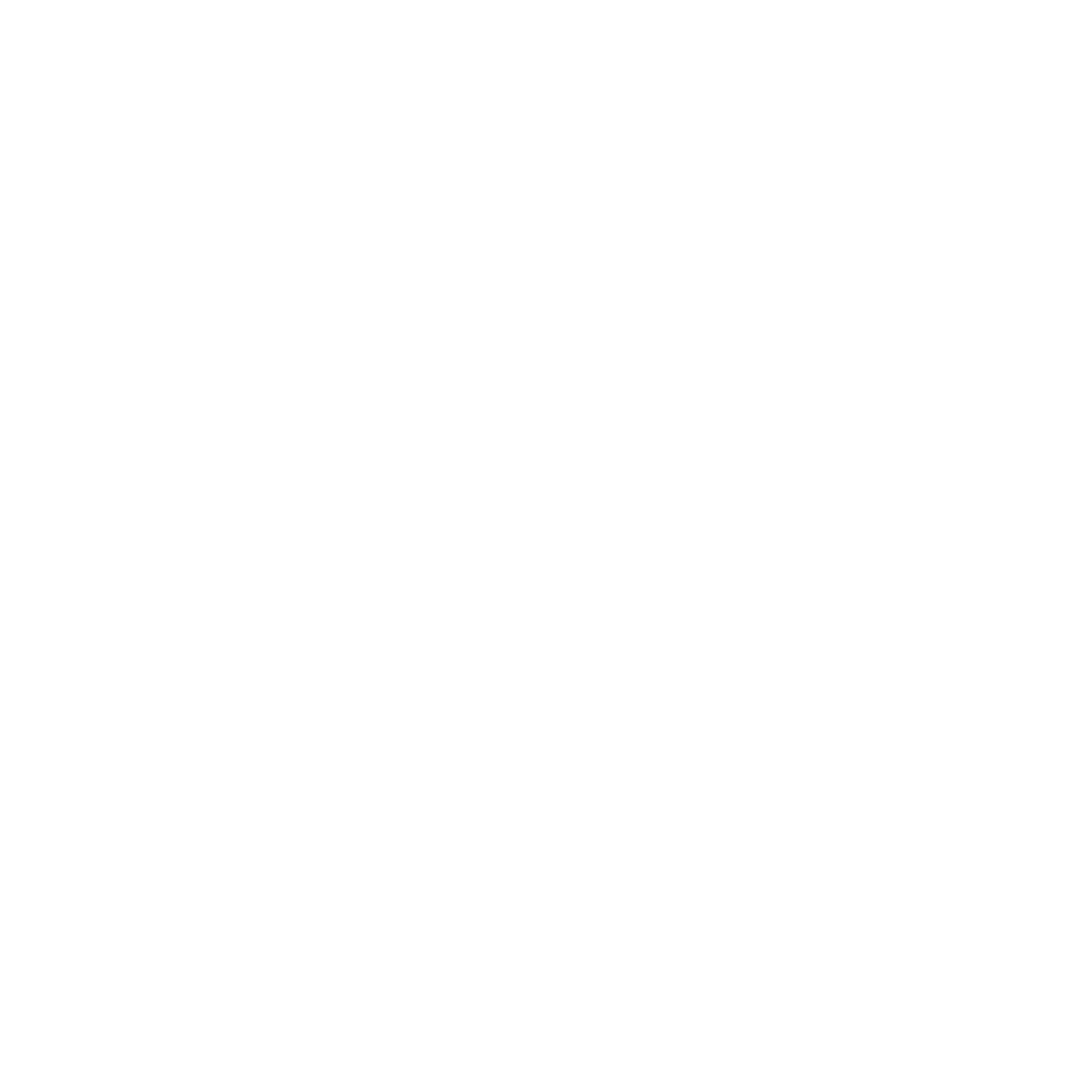 What We Offer Icon