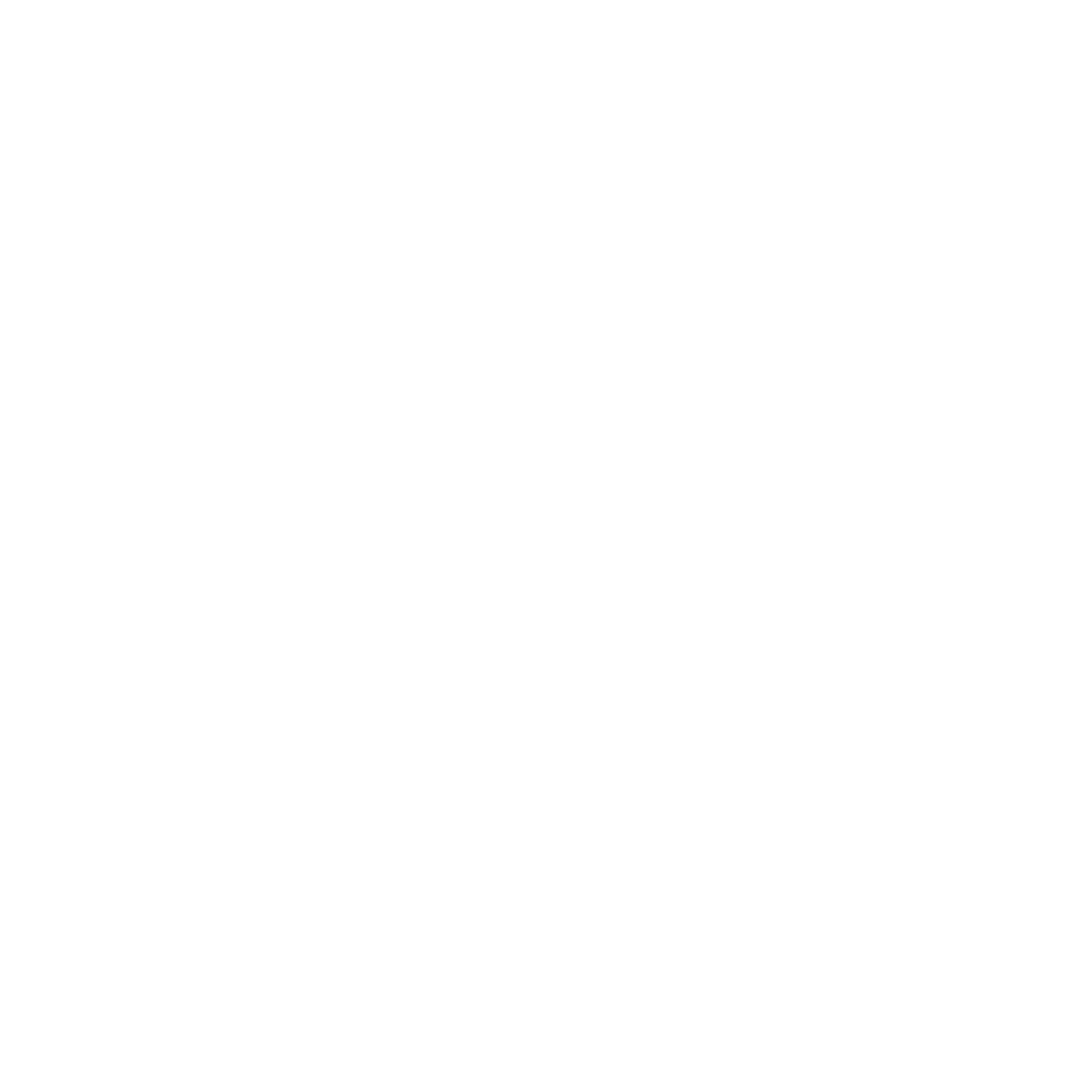 What We Offer Icon