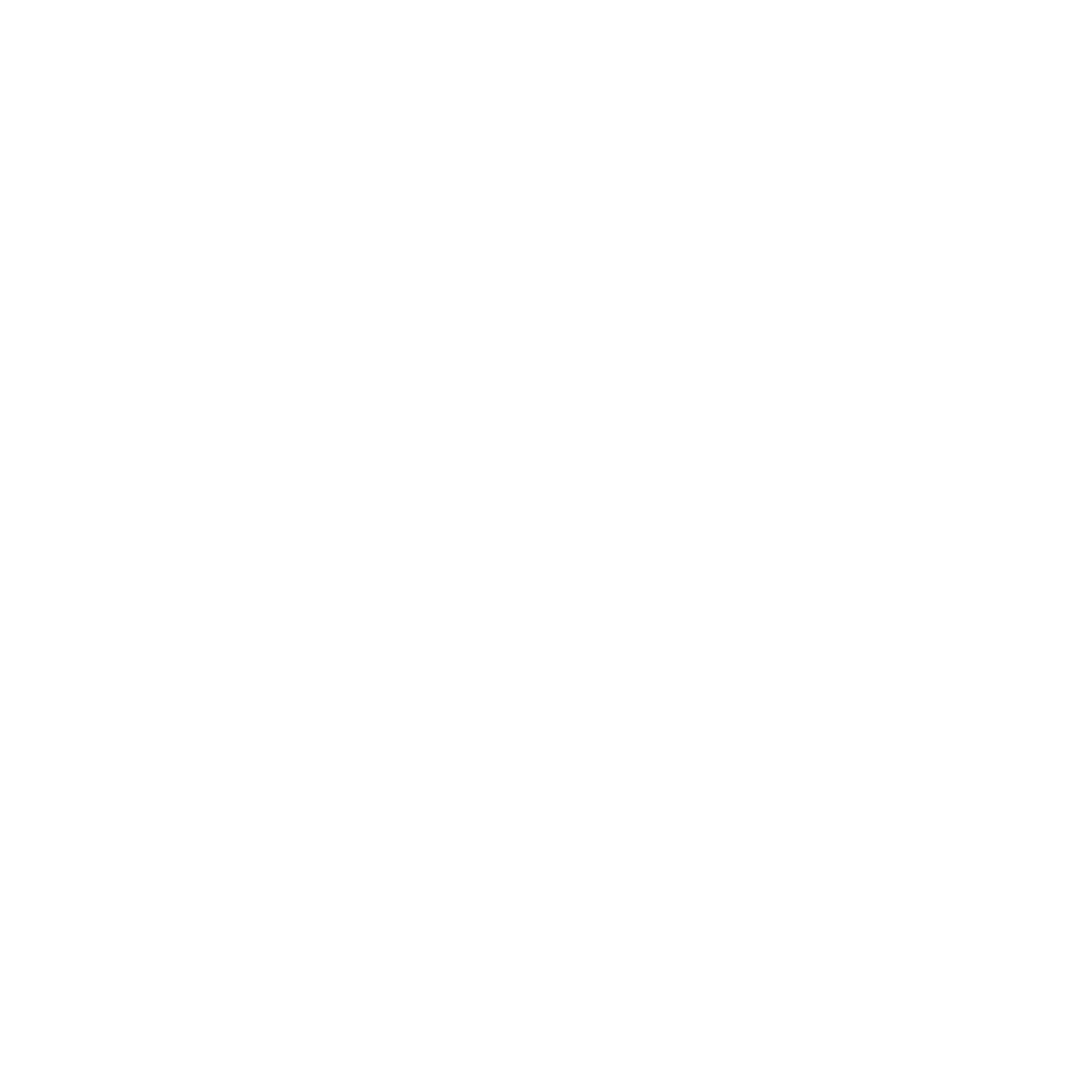 What We Offer Icon