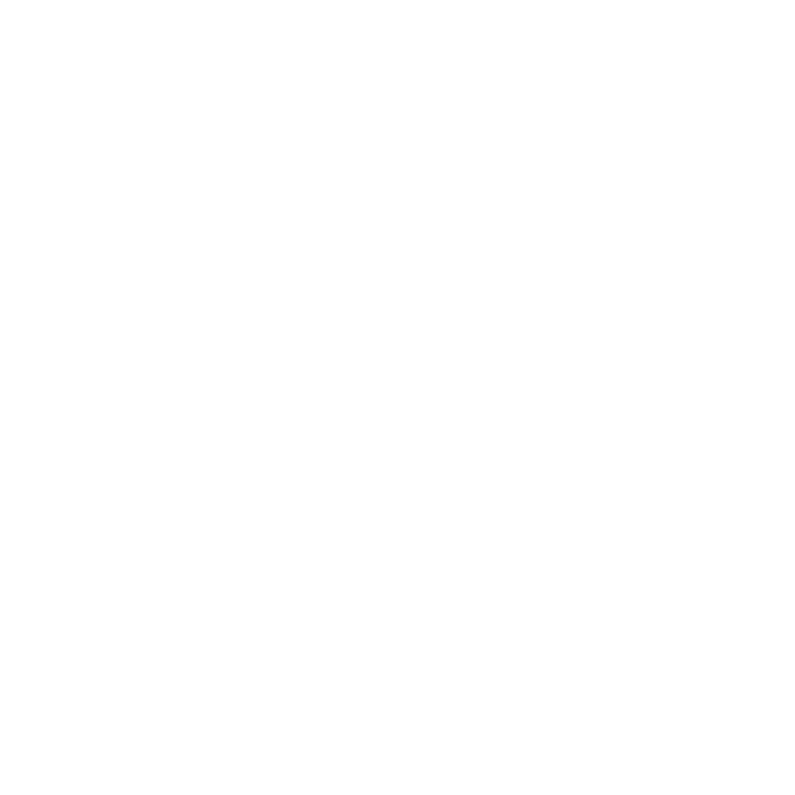 What We Offer Icon