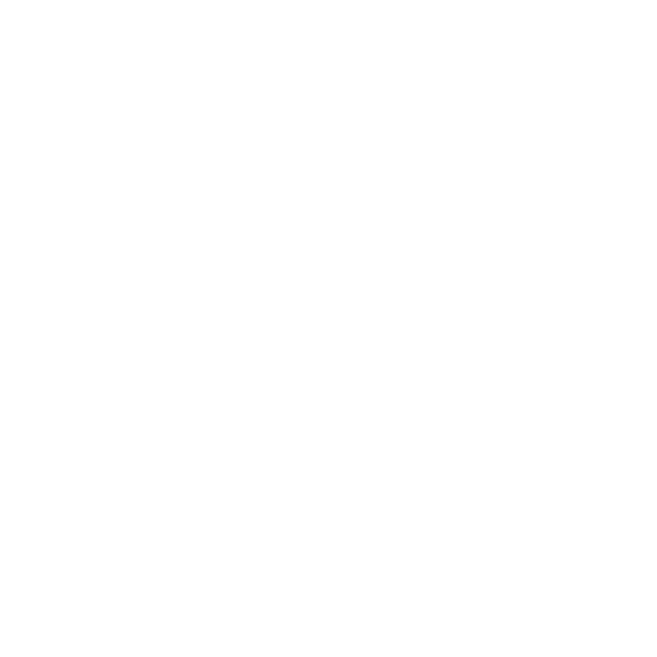 What We Offer Icon